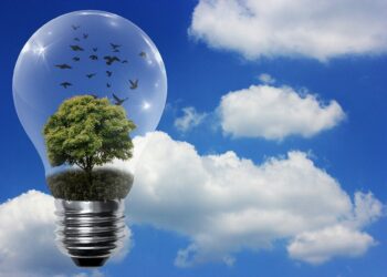 Hoy celebramos el Día Mundial de la educación ambiental y el Día Internacional de la Energía Limpia