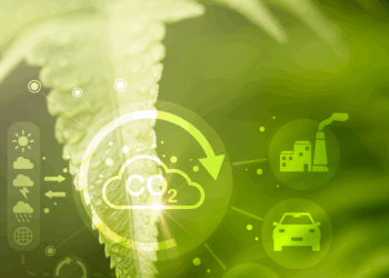 Europa acelera su transformación verde: Nuevas políticas para reducir la huella de carbono en 2025